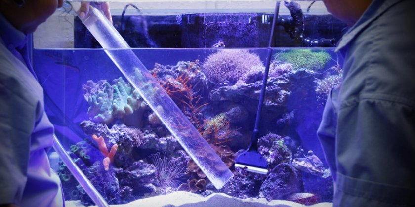 чистка аквариума