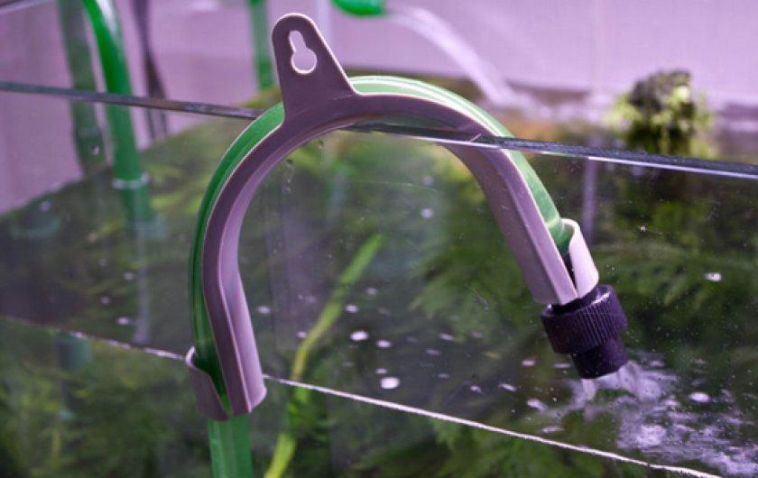 Аквариумные рыбки неоны Аквариумные рыбки неоны