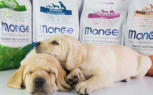 Корм для собак «Монже»