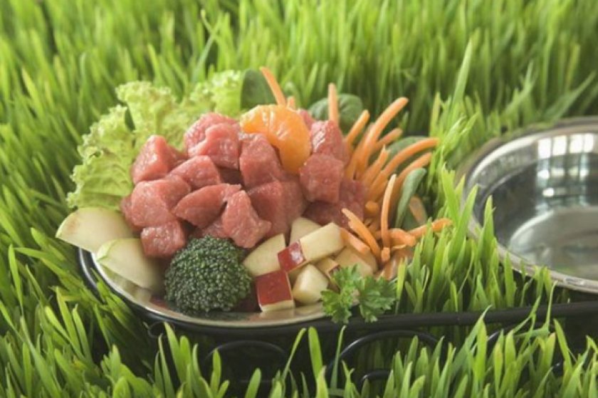 Рацион собаки Рацион собаки