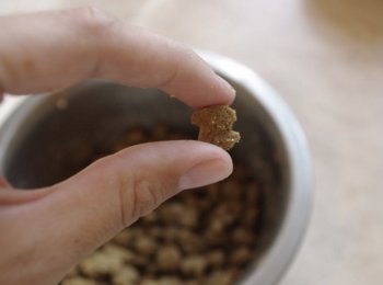 Описание, плюсы и минусы линейки кормов для собак «Eukanuba» («Эукануба»)