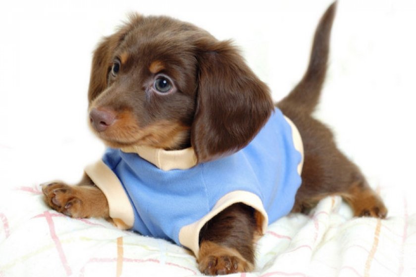 Юношеский Юношеский