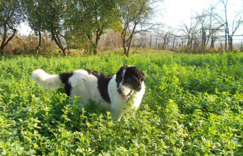 Прогулка Прогулка