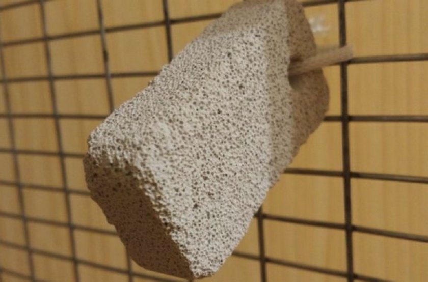 Камень для точилки зубов Камень для точилки зубов