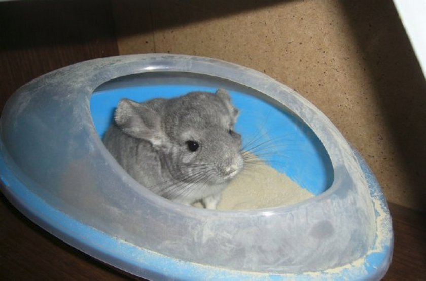 Ванна с песком Ванна с песком