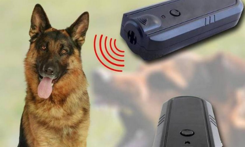 отпугиватель собак