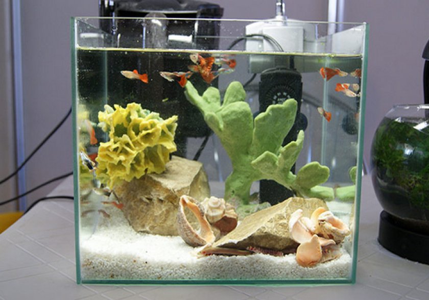Псевдоморской нано-аквариум