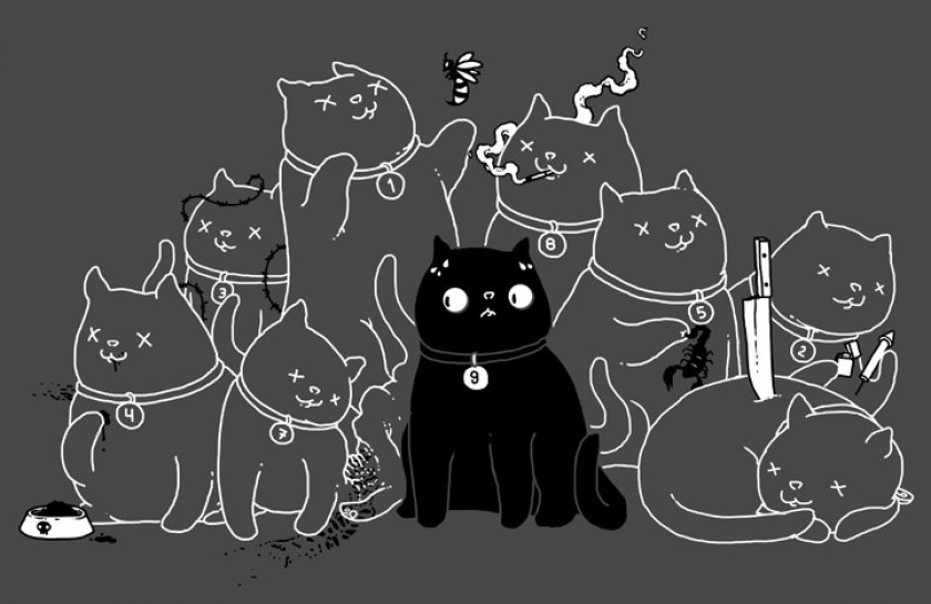 Почему у кошки 9 жизней