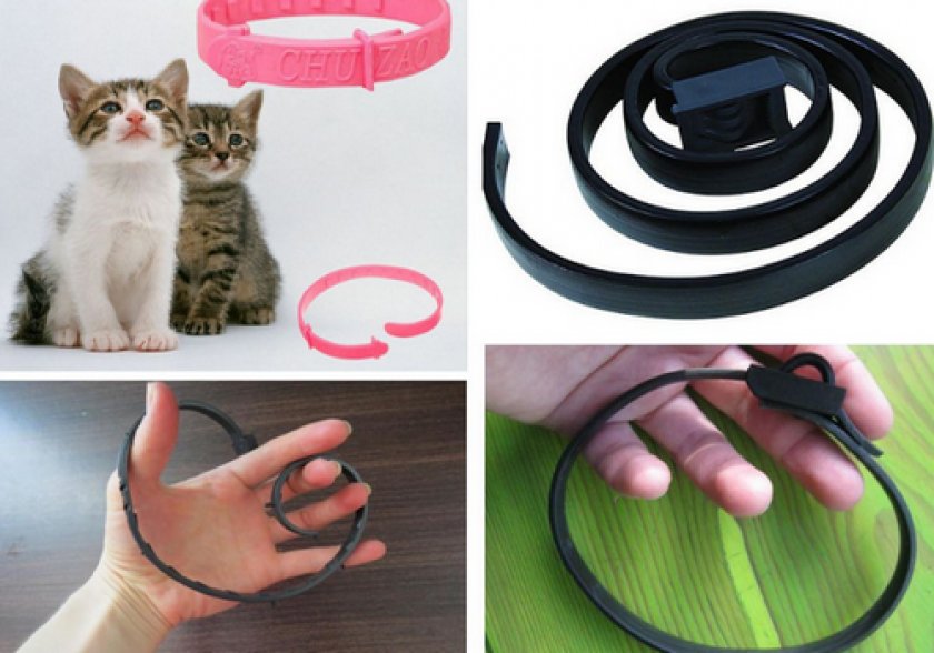Ошейники для котов