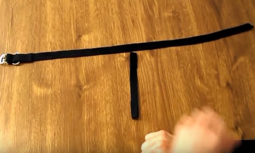 Ошейники для котов