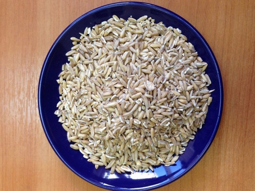 овсяная крупа. как выглядит овсяная крупа. крупа овсяная цельная, 500г. как выглядит овсяная крупа. овсяная крупа.