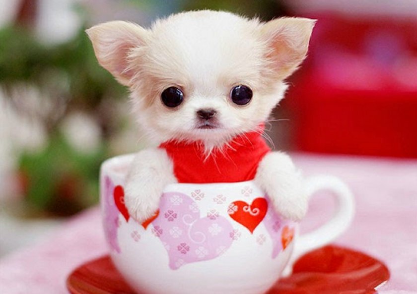 имена имена