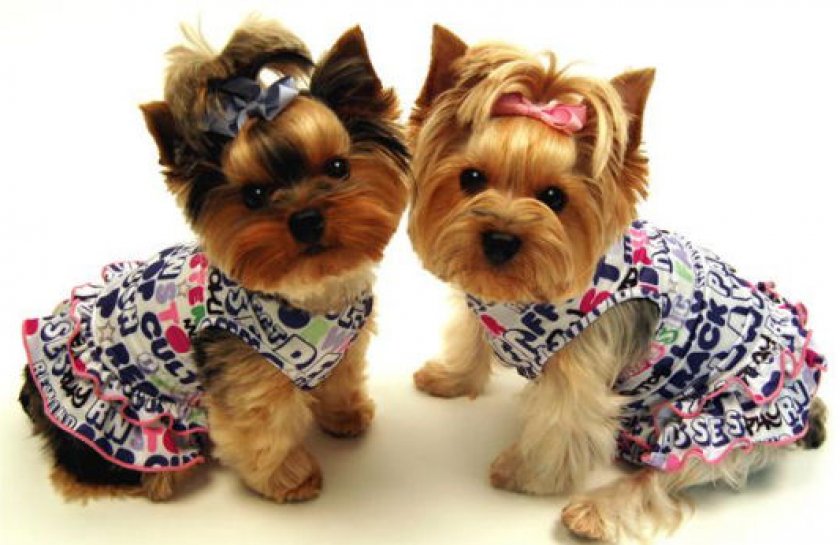 имена имена