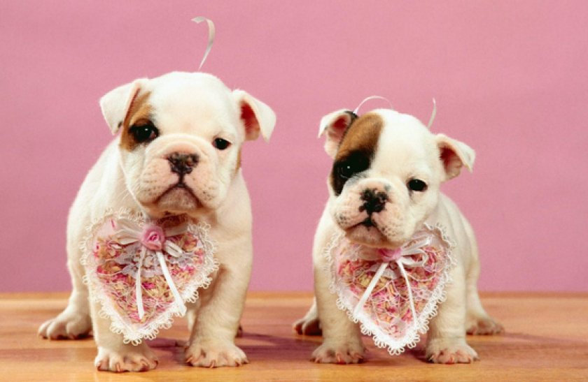 имена имена