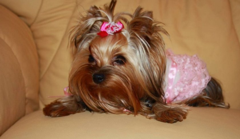 имена имена