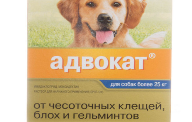 Адвокат Адвокат