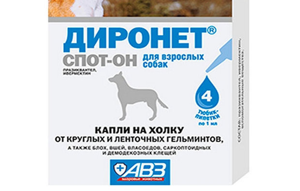 Диронет Диронет