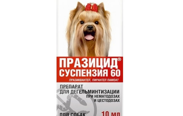 Празицид Празицид