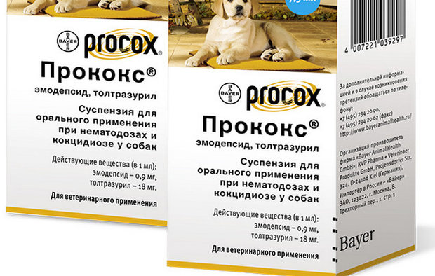 Прококс Прококс