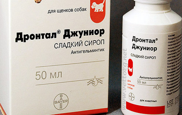 Дронтал Джуниор Дронтал Джуниор