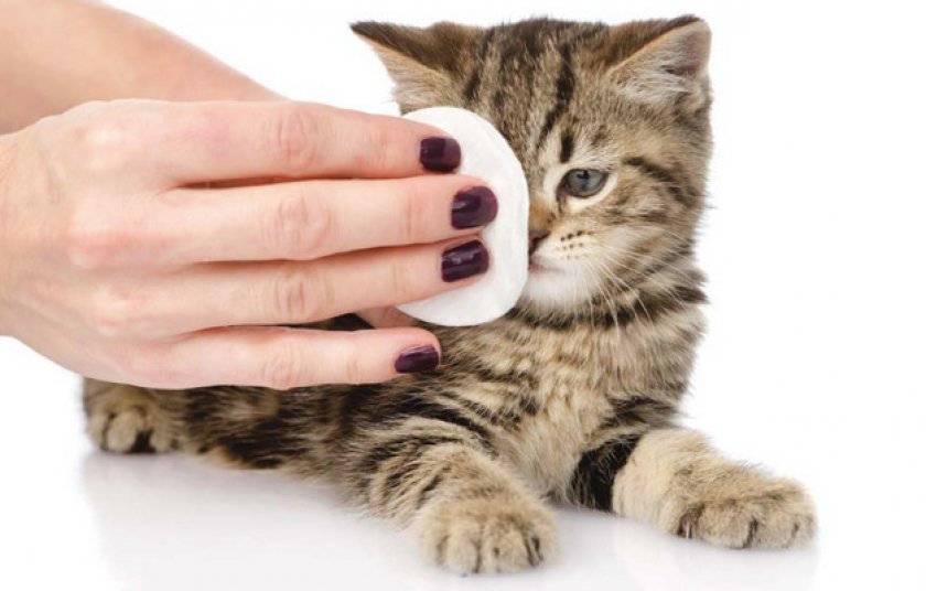 Поводы для беспокойства