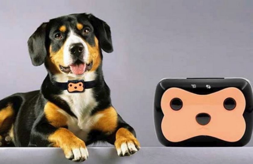 Smart PetTracker PT01 Smart PetTracker PT01