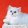 Персидская шиншилла – великолепная кошка для дома