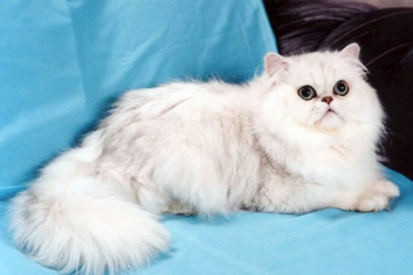 Средняя стоимость Средняя стоимость