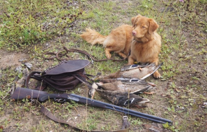 Охотничьи навыки