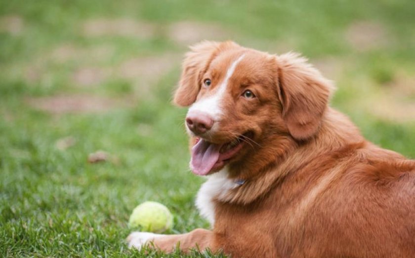 Физическая активность: игры и прогулки