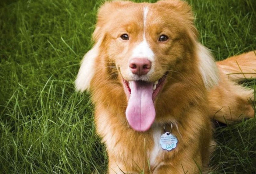 Возможные заболевания