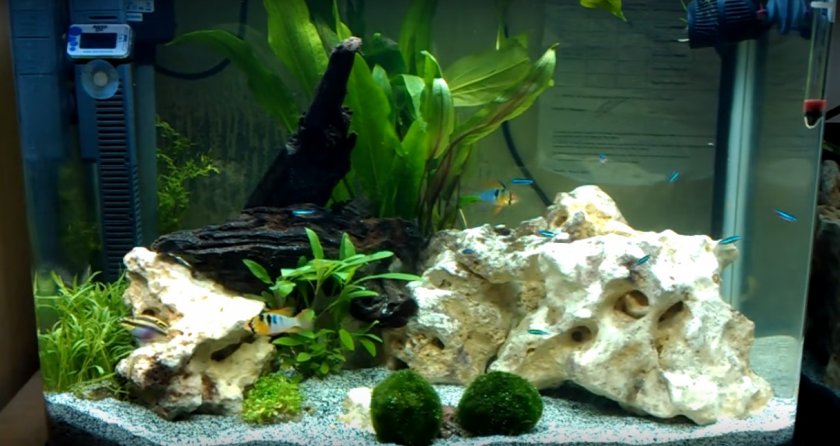 Аквариум Аквариум