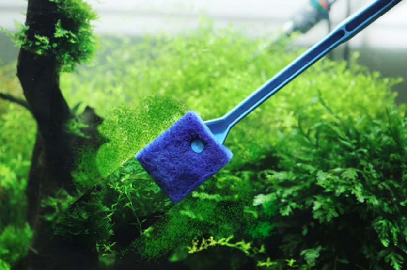 Чистка аквариума