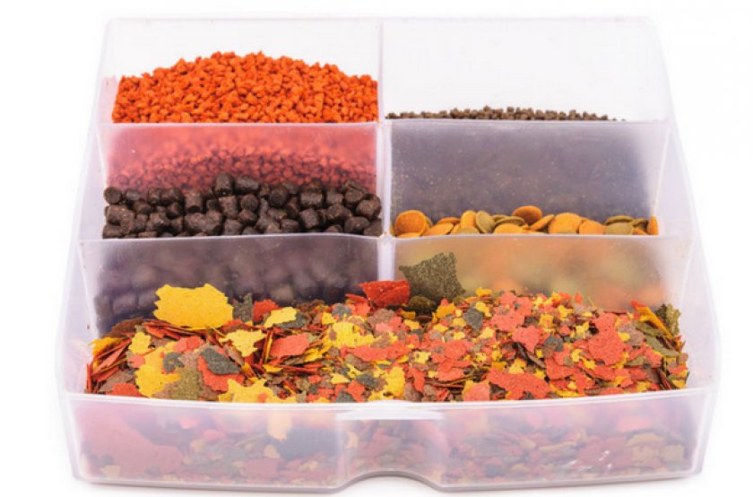 Корм для рыбок