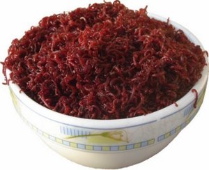 Живой корм для аквариумных рыбок