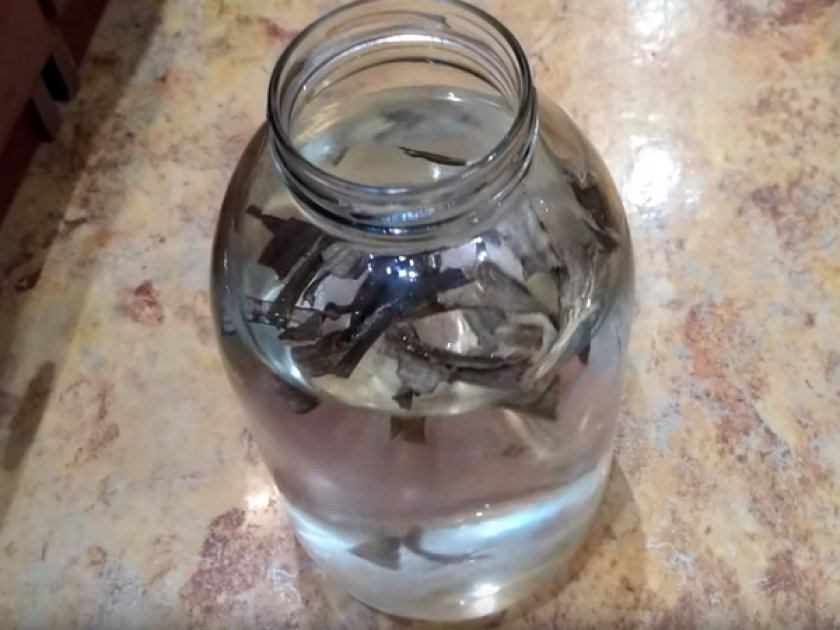 Кожуру бананов заливаем водой