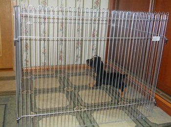 Самодельный квартирный вольер для собаки: из чего и как сделать