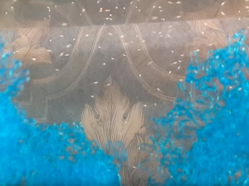 Инфузории-туфельки