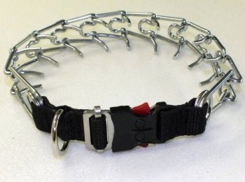 Особенности выбора и применения строгого ошейника для собак