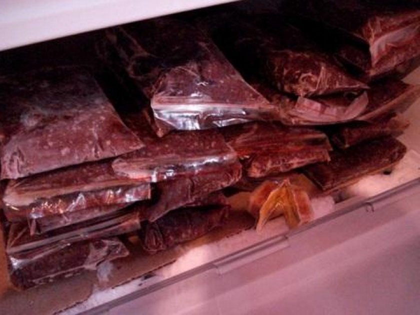 Заморозка живого корма