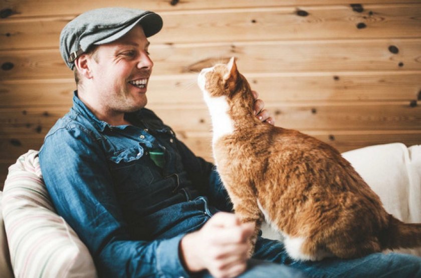 Характер кошки