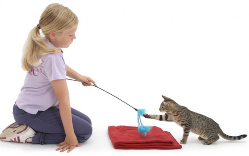 Необходимый инвентарь