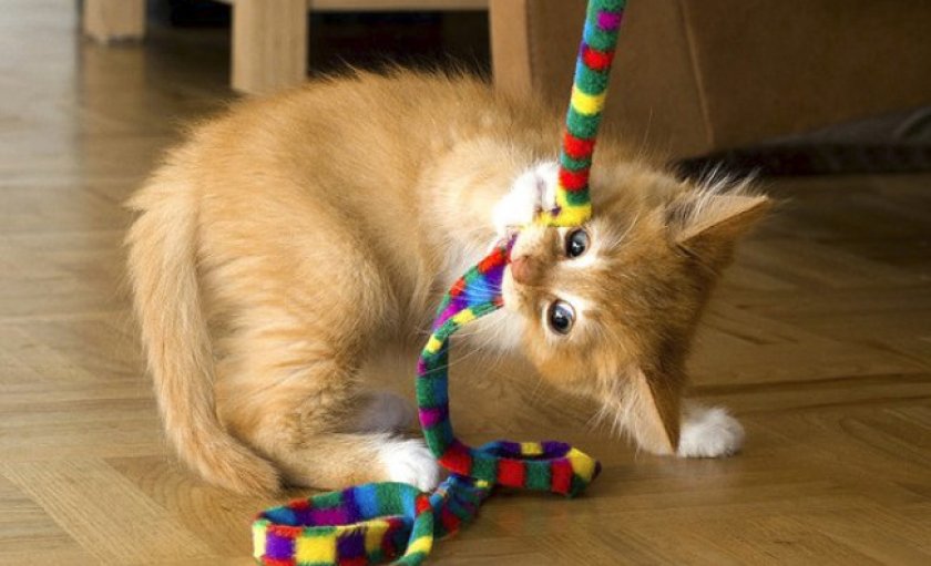 Основные команды