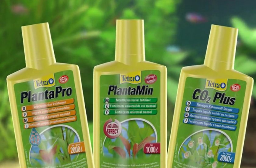 Удобрения для аквариумных растений Удобрения для аквариумных растений