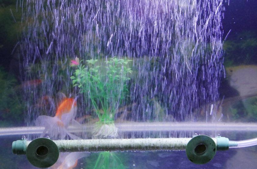 Аэрация в аквариуме Аэрация в аквариуме