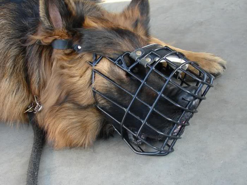 Металлический намордник Металлический намордник