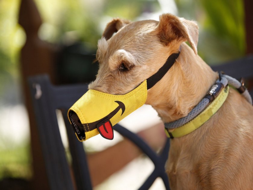 Нейлоновый намордник Нейлоновый намордник