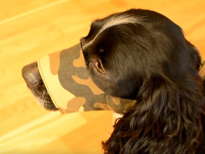 Делаем примерку Делаем примерку