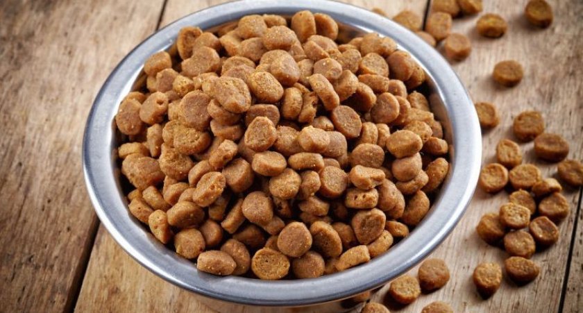 сухой корм сухой корм