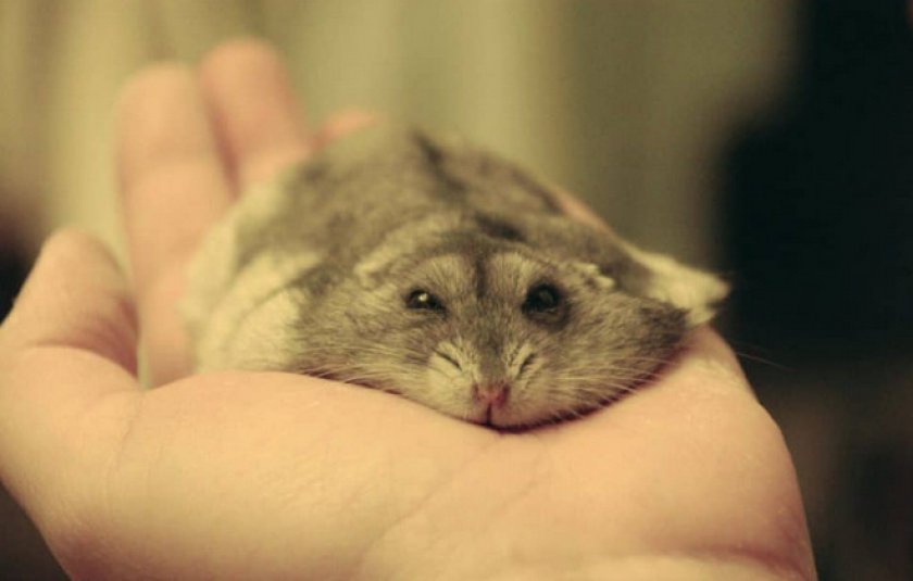 Простуда Простуда